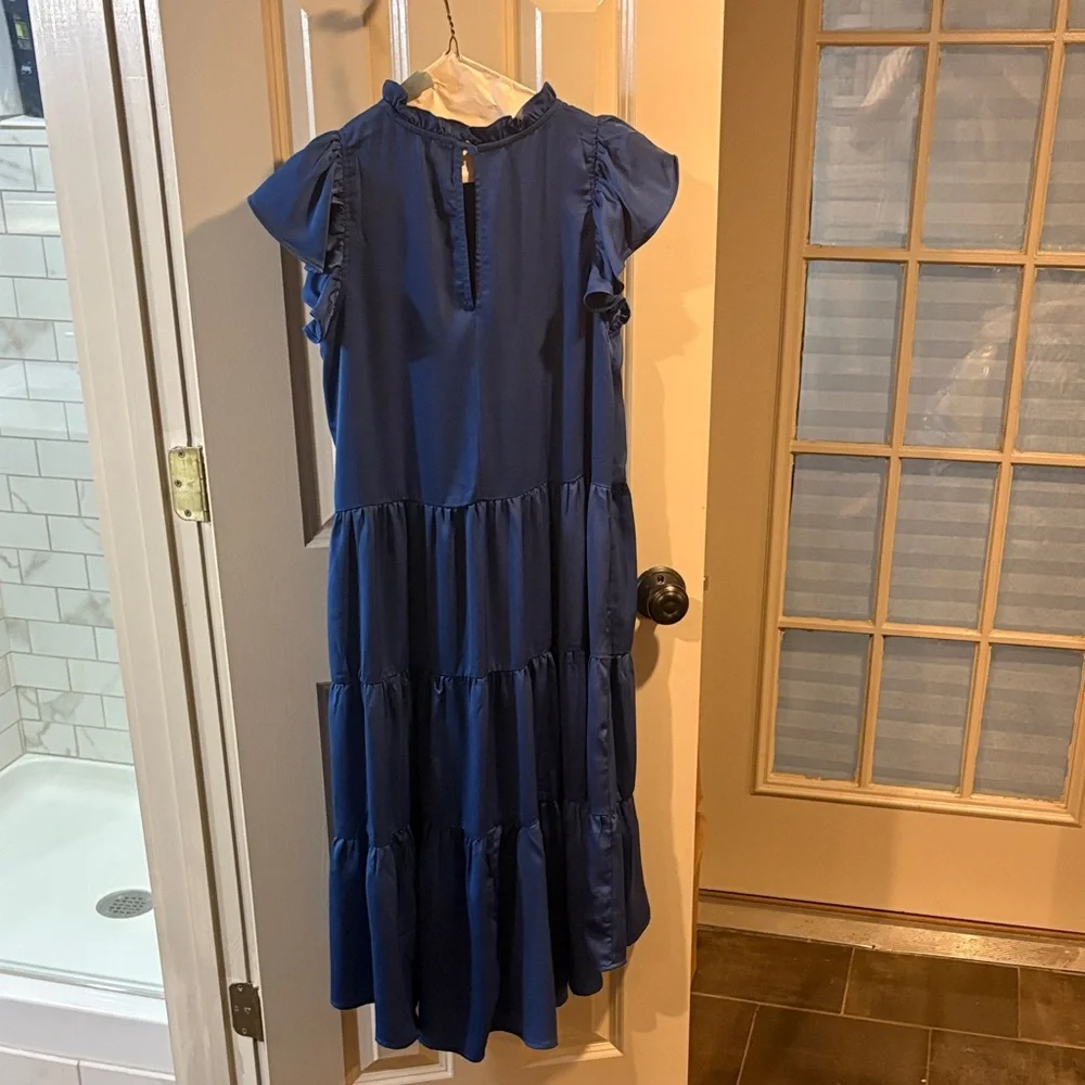 Pinch Blue Ruffled Dress - Picture 3 of 3